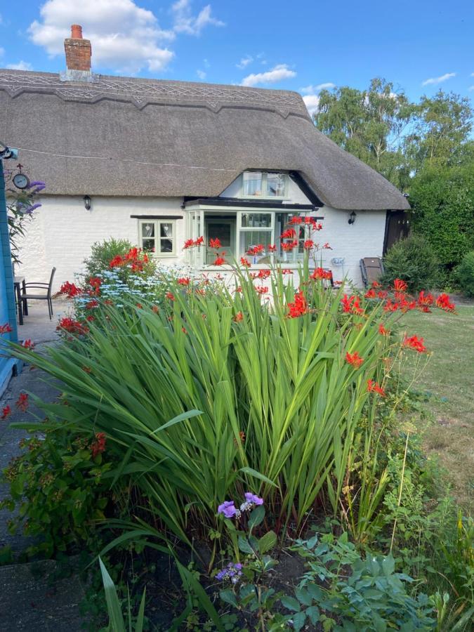 Thatch Cottage, East Boldre Nr Beaulieu And Lymington Brockenhurst Zewnętrze zdjęcie
